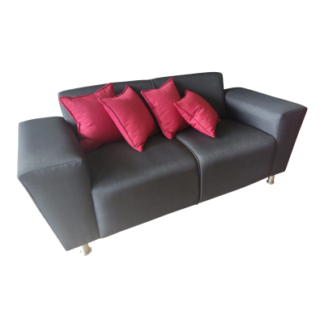 Vanity 2 Seater Couch